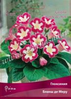 Глоксиния Бланш де Меру (4/5) 2 шт 742136