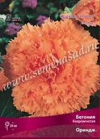 Бегония Бахромчатая Ориндж