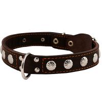 Ошейник кожа 30мм двойной с украшением и кольцом посередине 44-53см/00030041/Каскад/