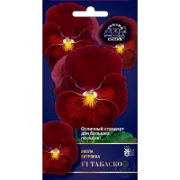 Виола Табаско F1 (вид: Витрокка) 5шт