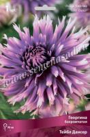 Георгина бахромчатая Тейбл Дансер (I) 1 шт