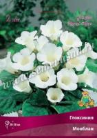Глоксиния Монблан (4/5) 2 шт