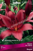 Лилия ЛА-Гибрид Мираж 14/16