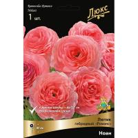 Лютик гибридный Романс Ноан /К 839687