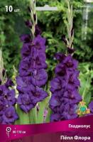 Гладиолус Крупноцветковый Пёпл Флора (10/12) 10 шт 