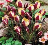 Без названия (3) Без названия (3)