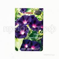 Ипомея Синий бархат 20 1 Каприс Ипомея Синий бархат 20 1 Каприс