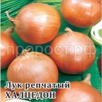 Лук репчатый Халцедон 50 г