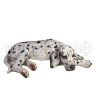 ральф долмат