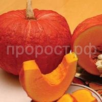 конфетка конфетка