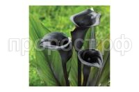 8e4c49b9-4351-11ea-ab68-ac1f6b023b85