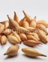 Без названия (17)