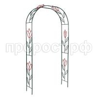 Тюльпан Тюльпан