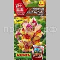 Без названия (26)