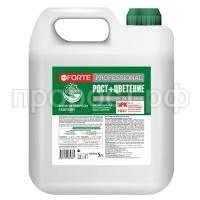 BF_kanistra_1000х1000_рост BF_kanistra_1000х1000_рост