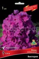 Флокс метельчатый Виктория