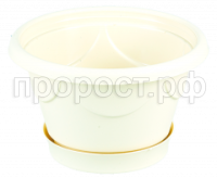 верона 1,5 пес