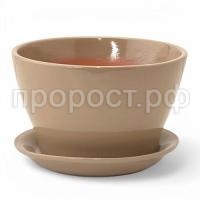 беллита капуч