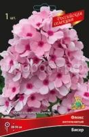 Флокс метельчатый Бисер Флокс метельчатый Бисер