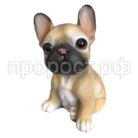 щенок француз щенок француз