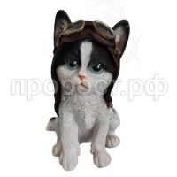 котенок авиатор котенок авиатор