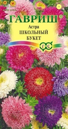 Астра Букет школьный, однолетняя (срезочная смесь)  0,3 г 