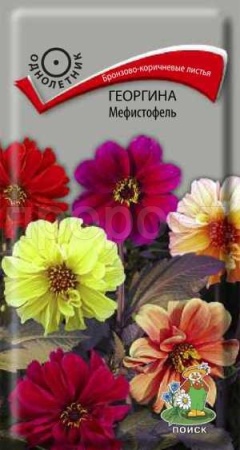 Георгина Мефистофель 0,2г
