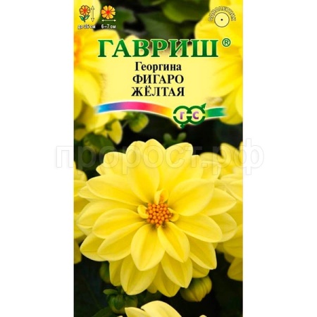 Георгина Фигаро желтая 7шт