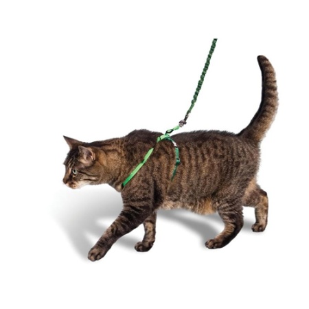 Комплект для кошек (поводок и шлейка) Вака 20177