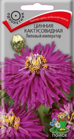 Цинния кактусовидная Лиловый император 0,4г