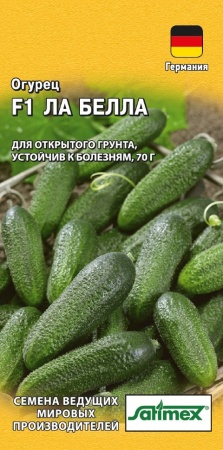 Огурец Антисипатор F1 5шт