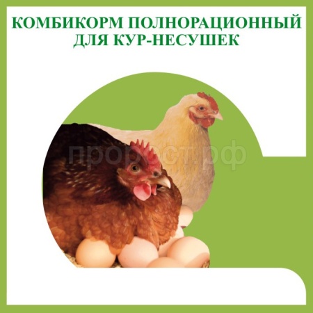 Комбикорм для кур-несушек 25 кг